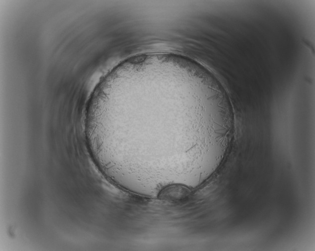 X0000103431477200809261719