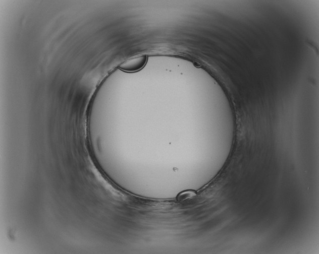 X0000103431479200809261719