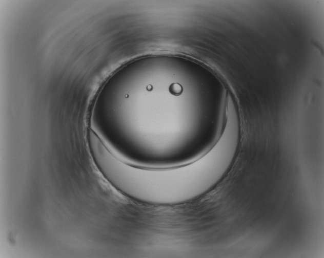 X0000103431480200809261719