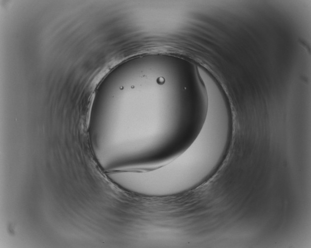 X0000103431481200809261719