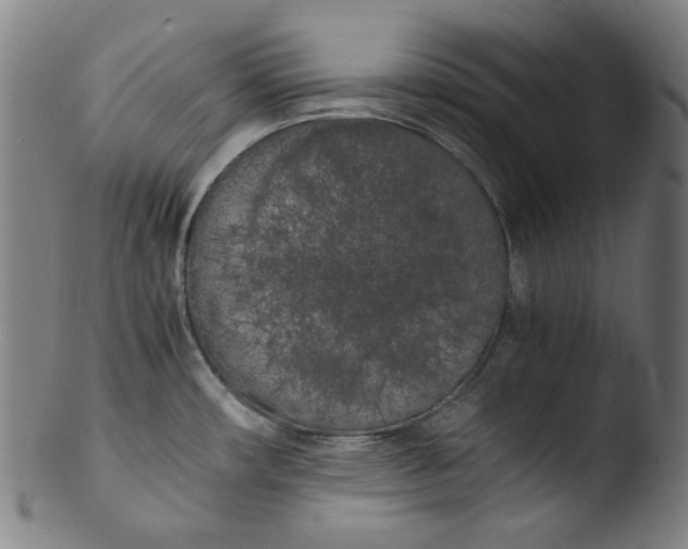 X0000103431482200809261719