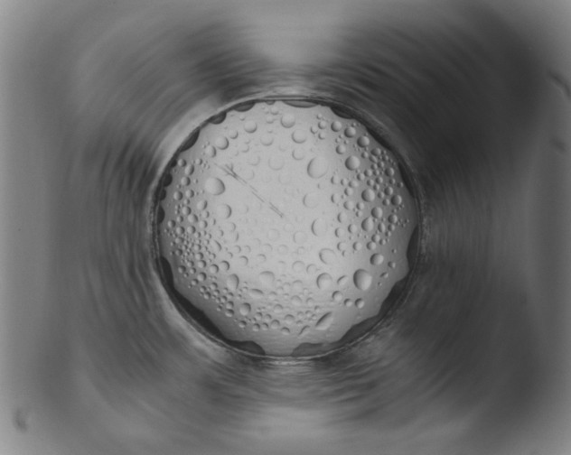 X0000103431483200809261719