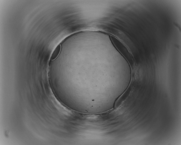 X0000103431484200809261719