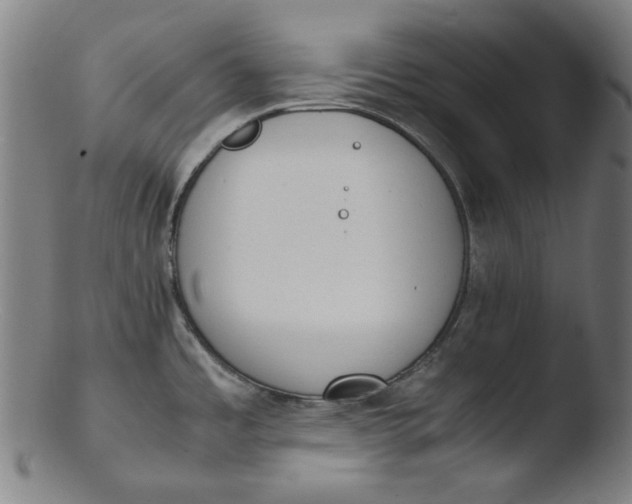 X0000103431485200809261719