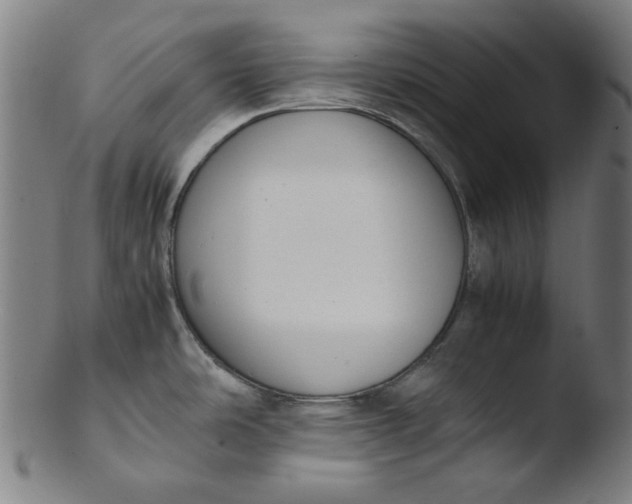 X0000103431486200809261719