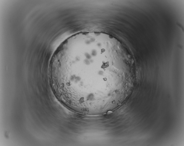 X0000103431487200809261719