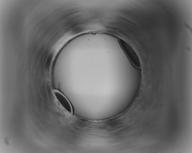 X0000103431488200809261719