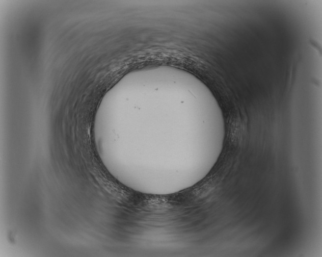 X0000103431489200809261718