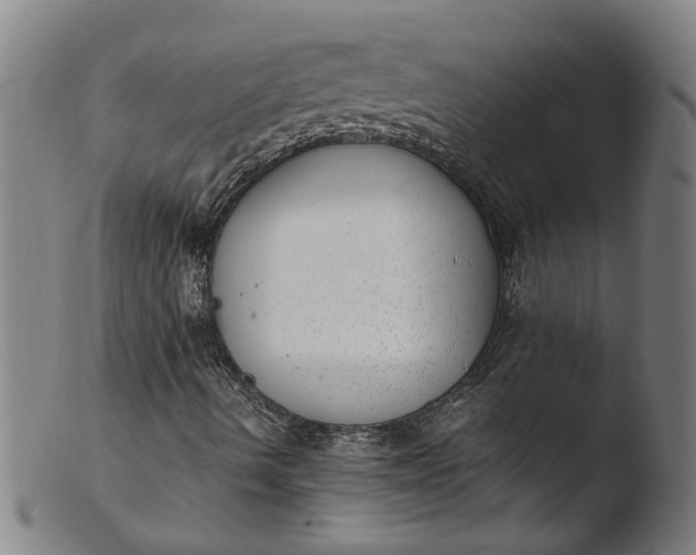 X0000103431490200809261718