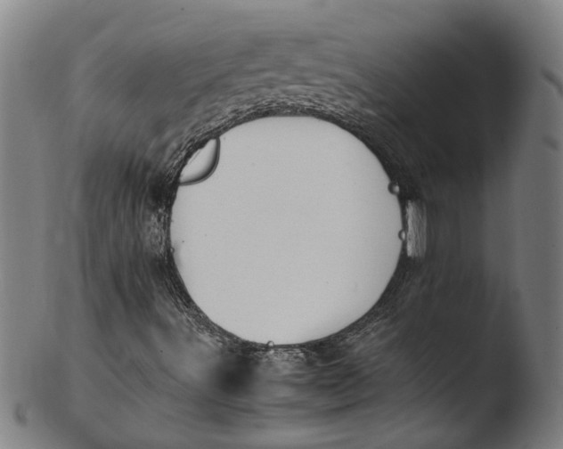 X0000103431491200809261718