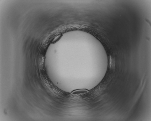 X0000103431492200809261718