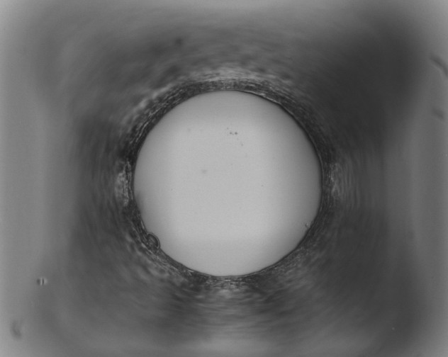 X0000103431493200809261718