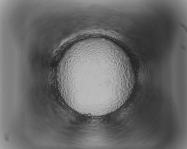 X0000103431494200809261718