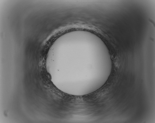 X0000103431495200809261718