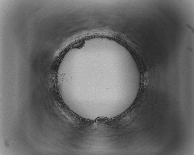 X0000103431496200809261718