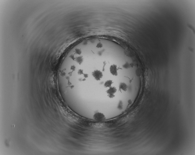 X0000103431497200809261718