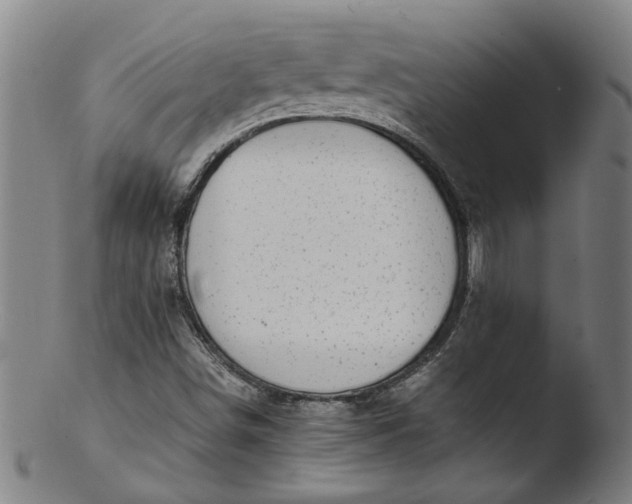 X0000103431498200809261718