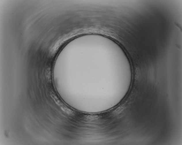 X0000103431499200809261718