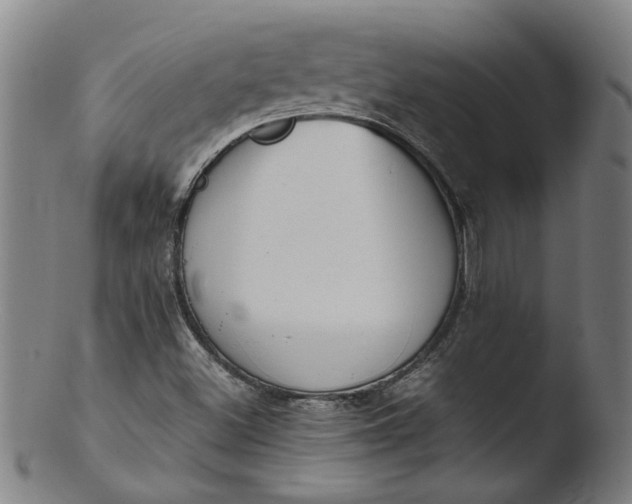 X0000103431500200809261718