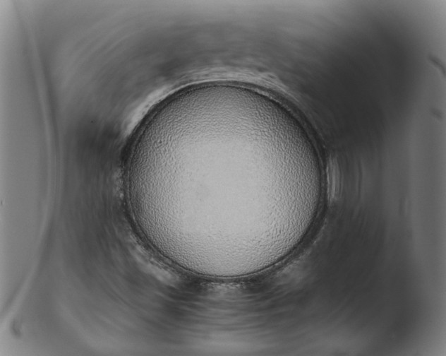 X0000103431501200809261718