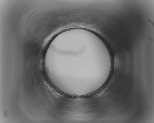 X0000103431502200809261718