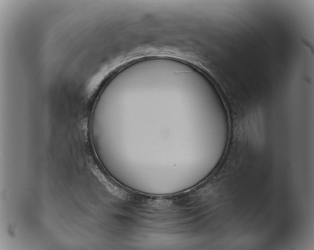 X0000103431503200809261718