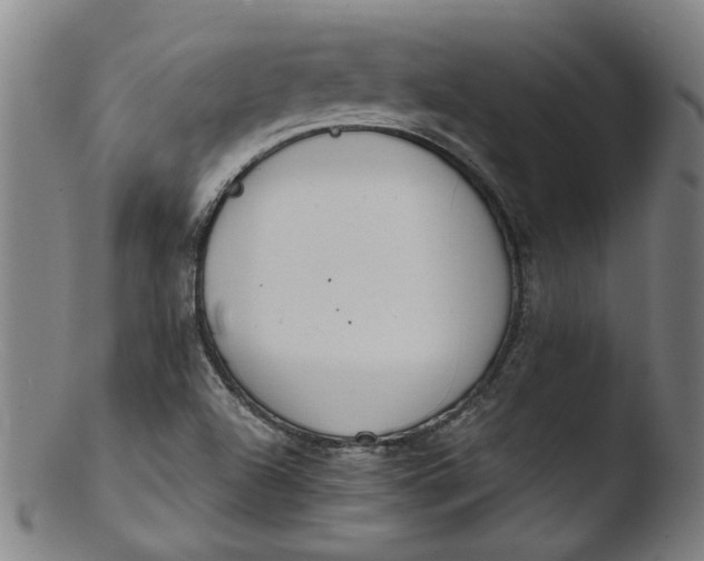 X0000103431504200809261718