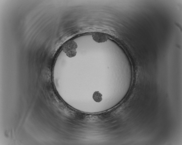 X0000103431505200809261718