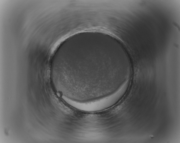 X0000103431506200809261718