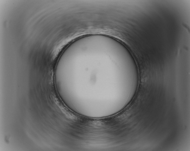 X0000103431507200809261718