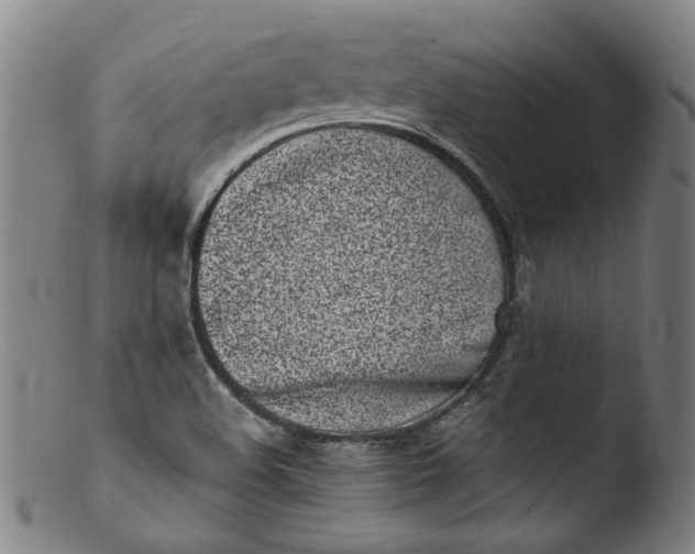 X0000103431508200809261718