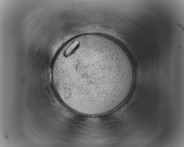 X0000103431509200809261718