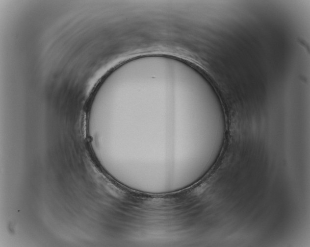 X0000103431510200809261718