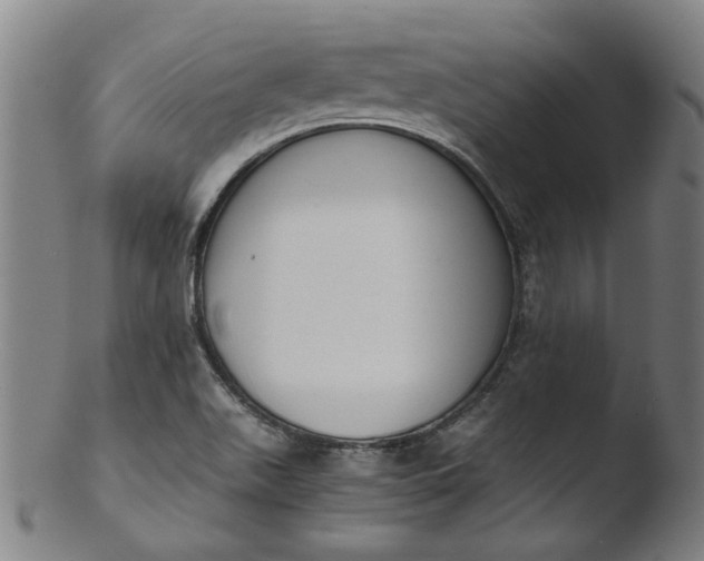 X0000103431511200809261718