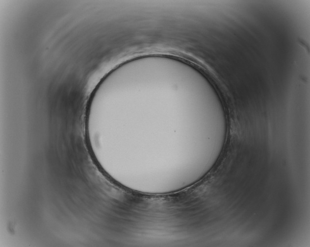 X0000103431512200809261718