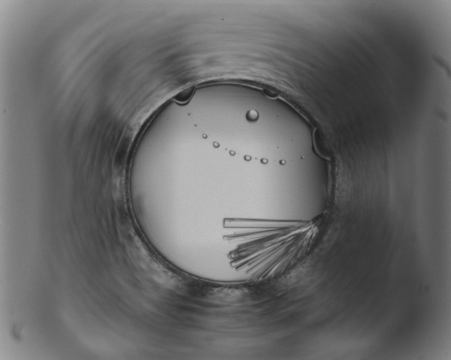 X0000103431513200809261718