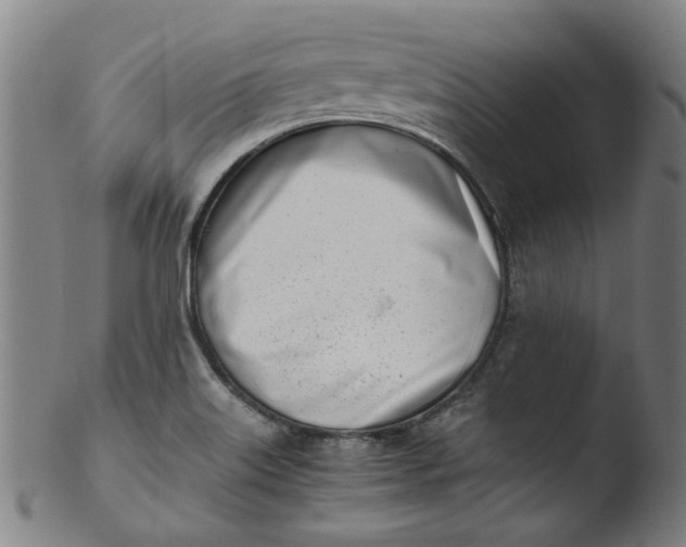 X0000103431515200809261718