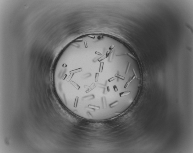 X0000103431517200809261718