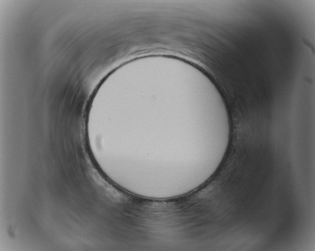 X0000103431518200809261718