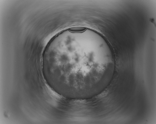 X0000103431519200809261718