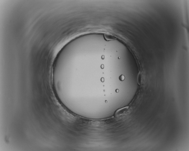 X0000103431520200809261718