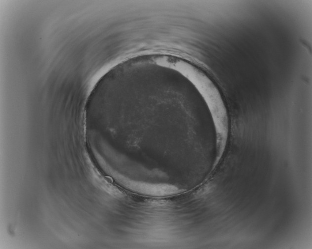 X0000103431522200809261718