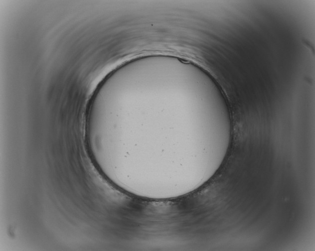 X0000103431523200809261718