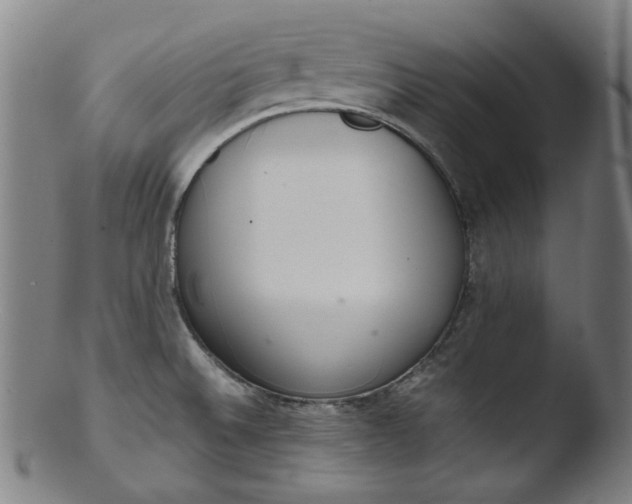 X0000103431524200809261718