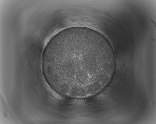 X0000103431525200809261718