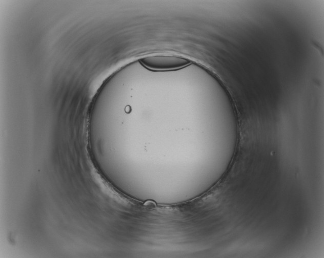 X0000103431526200809261718