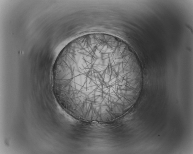 X0000103431527200809261719