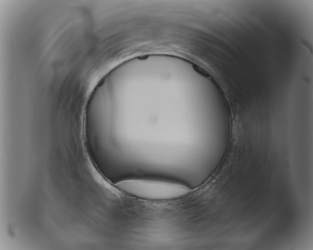 X0000103431528200809261719