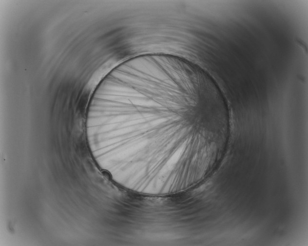 X0000103431529200809261719