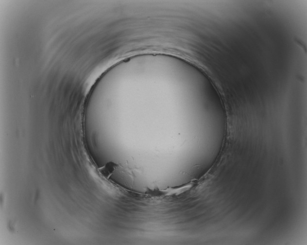 X0000103431530200809261719